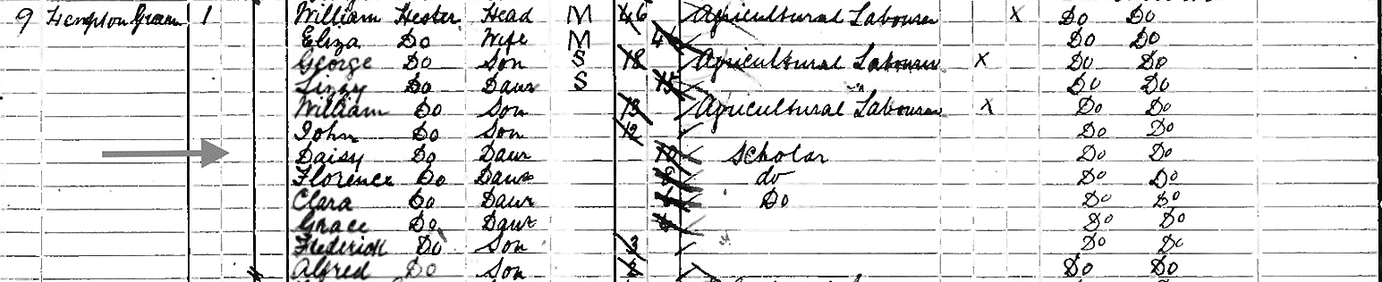 Daisy Vincent (nee Tyler nee Hester) Census 1891